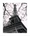A2784_CAT~La-Tour-Eiffel-Spring-Posters.jpg